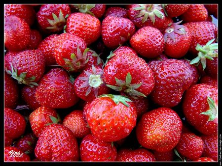 Et vous, qu&rsquo;avez-vous fait pour la planète cette semaine ? #4