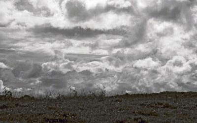 Turbulences