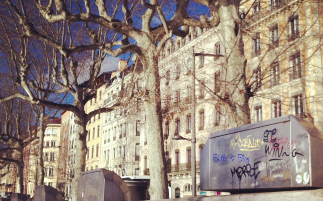 Bulle & Blog is Back – in English !