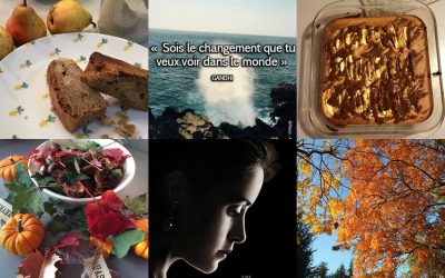 2 recettes de gâteaux et 2 coups de cœur (des pommes, des poires, peu de gluten… et beaucoup d&rsquo;humanité)