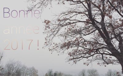 En 2017, rêvez !