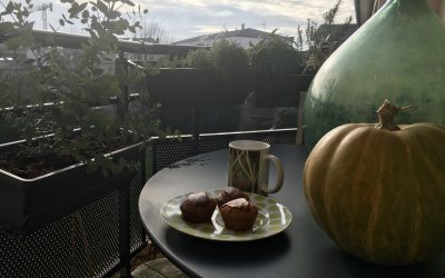 Muffins végétaliens à la farine de châtaigne (sans gluten/lactose/œuf/sucre)