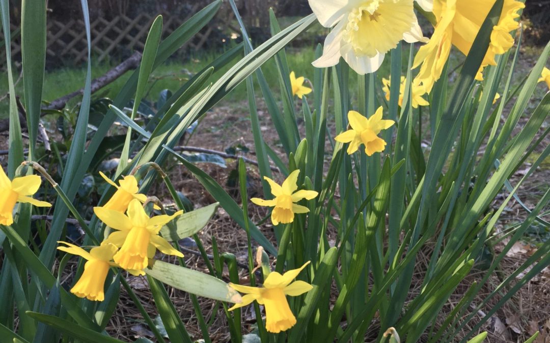 Rien ne dure (Les ChroCo #3)