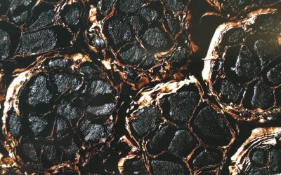 Mon coup de cœur du Sihra Green : l&rsquo;ail noir de la Maison Boutarin